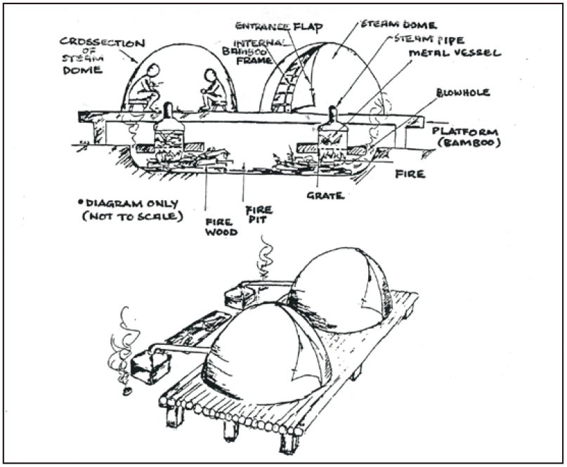 Jan Singkan's herbal sauna system stands in a yard full of herbs, fruit trees and a couple of loofa vines. (Illustration by my father, Keith Bentley, in 1992.)