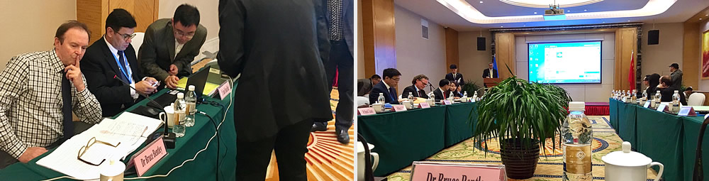 Inside the WHO meeting 'Benchmarks for Tuina practice', held in Changchun, China, in 2017. Bruce was invited to edit the upcoming publication and was the rapporteur at this meeting.